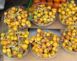 Fruit is very acidic and flavorful with few or many seeds. Azgil Or Loquat A Thing Like That Fig Quince
