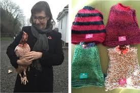 Red hen hat, orange beige hen hat and orange brown hen hat this is not a finished product, this is a knitting pattern only. Father Ted Actress Pauline Mclynn Mrs Doyle