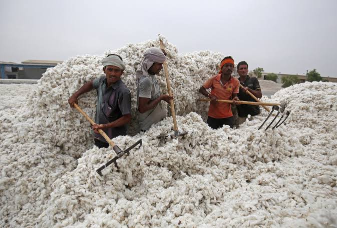 Top Pakistani economic body allows import of cotton and yarn from India  -sources | Reuters