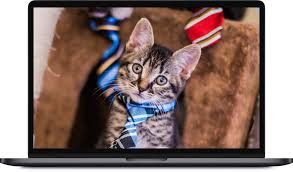 Find a Participating Veterinarian