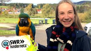 Ein Papagei Am Filmset Tiere Bis Unters Dach Swr Kindernetz Youtube