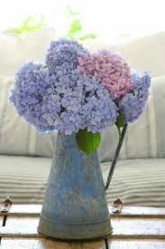 Pin By Marlies Kooistra On Hortensia Hydrangea Care Flower Arrangements Beautiful Flowers