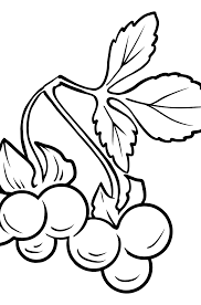 coloriages nature en ligne ou imprimer gratuit coloriage armoiries uruguay