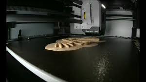 Bambu Labs X1C 3D Print