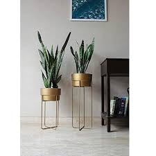 We did not find results for: Truphe Golden Centuria Metal Plant Pot Set Indoor Round Planter With Metal Stand Set Of 2 Peacock Planter à¤¸à¤œ à¤µà¤Ÿ à¤—à¤®à¤² à¤¡ à¤• à¤° à¤Ÿ à¤µ à¤ª à¤² à¤Ÿà¤° Truphe Traders Llp Gautam Budh Nagar Id 23069378097