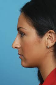 Anatomy of the Facial Profile