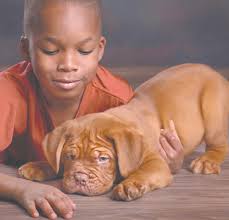 Passing driver stops to help gunshot victim