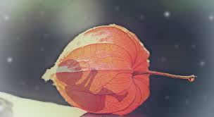 We did not find results for: Mimomaternicove Tehotenstvo Be Lenka