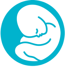 pregnancy due date calculator