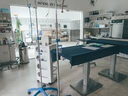 Simply show up during clinic hours to get the best recommended care for. Visiting The Dog Care Clinic In Unawatuna Our Experience