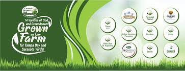 One of the best consumer services business at 2200 w kennedy blvd, tampa fl, 33606. Council Growers Sod Farm Home Facebook
