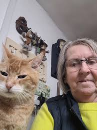 Lost cat in Chelsea, MA near Washington Ave and Bloomingdale