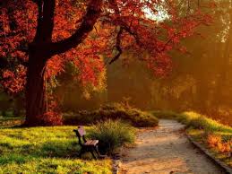 O, vino iar în al meu braţ, să te privesc cu mult nesaţ, să razim dulce capul meu de sânul tău, de sânul tău! De Ce Nu Mi Vii De Ce Nu Mi Vii Literatura De Azi