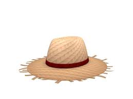 Straw Hat 3d Model Straw Hat Hats Model