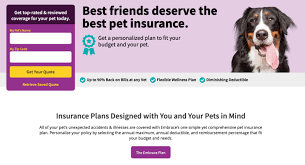 Check spelling or type a new query. 10 Best Pet Insurance Companies Of 2021 Consumersadvocate Org