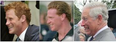 Royal gossips have for years now rumoured that princess diana's former love, james hewitt, was the real father of her youngest son, prince harry. Princess Diana S Lover Insinuates Prince Harry Is His Son The Ipinions Journal