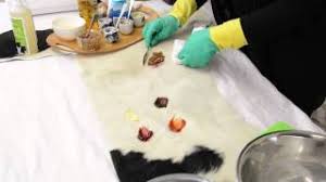 This will help get out any dirt that the vacuum may have missed. How To Clean A Cowhide Rug 2019 Cowhide Cleaner Demo By Gorgeous Creatures Youtube