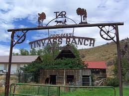 Road Blog: Tiny Ass Ranch – Infospigot: The Chronicles