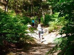 Le Jeu De Piste Du Grand Mechant Loup 2 Pour Les Enfants En Foret De Fontainebleau Une Semaine A Paris Jeu De Piste Foret De Fontainebleau Piste De Danse