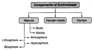 Environment Class 7 Notes Geography Chapter 1 Learn Cbse
