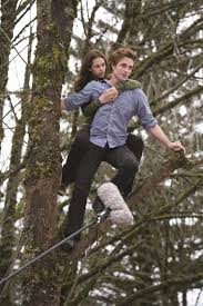And that belief—that they knew what was coming—led to the single most even fans of the movies should admit the political implications of the narrative are unpleasant. Twilight 2008 Bella Swan S Cullen House Stunt Harness Shirt And Sweater Current Price 800 Twilight Film Twilight Twilight Pictures