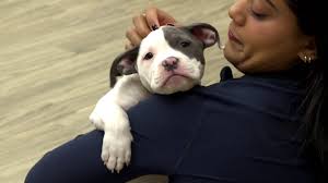 Former Manitoba student self-isolating in Spain