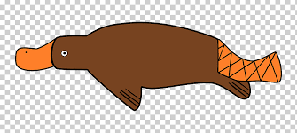 Platypus Duck Monotreme Bearded Dragon Habitat Marine Mammal Mammal Carnivoran Png Klipartz The platypus habitat is found in fresh water creeks and rivers on the eastern coast of australia. klipartz