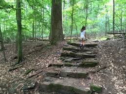 Woodend Nature Sanctuary Kidfriendly Dc