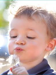 Rock Candy Salon & Spa Chicago