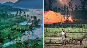 Tentunya dengan adanya fasilitas ini, jika anda berkunjung ke ranca upas maka dikenakan biaya tiket masuk ranca upas sebesar rp. Ranca Upas Camping Ground Asik Di Hutan Lindung Ciwidey Bandung Ada Penangkaran Rusa Jawa Loh