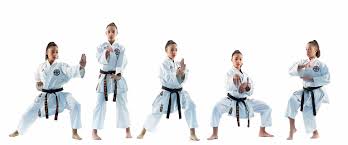 The Levels Of Karate Belts Awma Blog