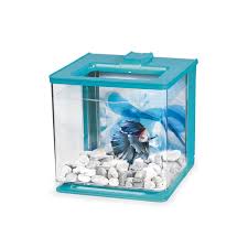 Betta tank setup, how to set up aquarium guide for beginners. Betta Aquarium Kit Blue 2 5 L Marina Mondou