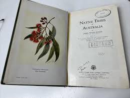 VINTAGE BOOK NATIVE Trees Of Australia James Audas Colour Plates Plants Art  $9.99