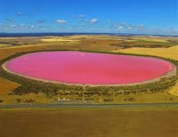 Neben den populären bondi beach und cottesloe beach kann man an zigtausend anderen stränden. Top 3 Pinke Seen In Australien Die Dich Zum Staunen Bringen Werden