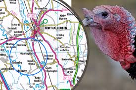 See more ideas about birds, pet birds, beautiful birds. 10 000 Turkeys To Be Culled At Farm Near Northallerton After Avian Flu Outbreak The Northern Echo
