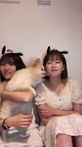 女性声優、がっつりパンチラ | ゆうすけべぶろぐ