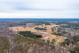 Hunting Land for Sale in Allen Parish, Louisiana