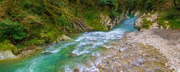 A river is a natural flowing watercourse, usually freshwater, flowing towards an ocean, sea, lake or another river. Rivers And Streams Compose Much More Of Earth S Surface Than Thought The Scientist Magazine