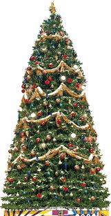 | # christmas tree png & psd images. Christmas Tree Png Image Traditional Christmas Tree Christmas Tree Christmas