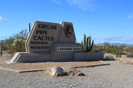 We were determined to be camping by nightfall and our long day of travel was back at our campsite, we each ducked under shade or a tent to escape the sun. Organ Pipe Cactus Nm Brennis Reisewelt