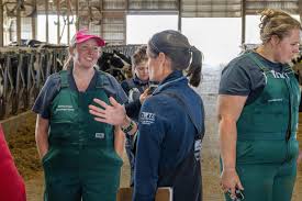 Cummings School of Veterinary Medicine at Tufts University