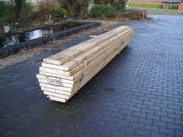 Image result for Terminalia superba