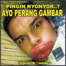 Download now kumpulan gambar foto foto jorok tapi lucu terbaik. Kata Kata Janda Lucu Perang Gambar Cikimm Com