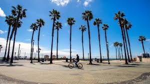 California covers the southern half of the west coast of the contiguous. Coronavirus How California Kept Ahead Of The Curve Bbc News
