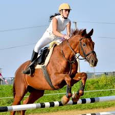 Check spelling or type a new query. Scoliosis Horse Riding Let S Get You Back In The Saddle