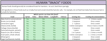 Safe And Unsafe Foods For Hamsters Food Nutrition