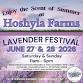 Hoshyla Farms Lavender Festival