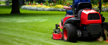 Our services include but are not limited to: Get The Best And Professional Lawn Mowing Services In Australia Fox Mowing Gardening