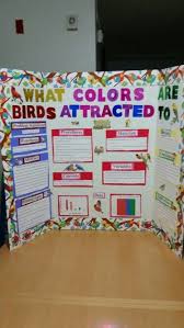 Biology Science Fair Projects For 10th Grade What Color Are Birds Attracted To By Bianca A Rivas Science Fair Projects Science Fair Stem Fair Projects