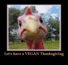 Funny Vegan Thanksgiving Memes